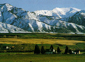 montana